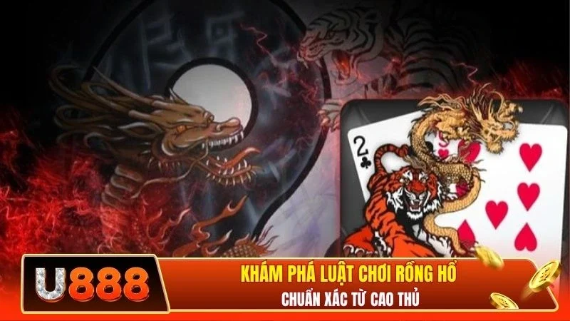Khám phá luật chơi rồng hổ chuẩn xác từ cao thủ
