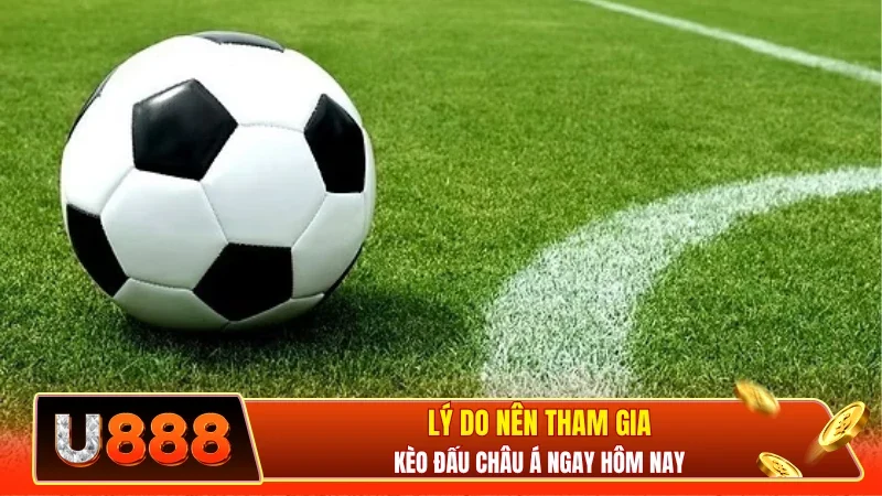 Lý do nên tham gia kèo đấu châu Á ngay hôm nay