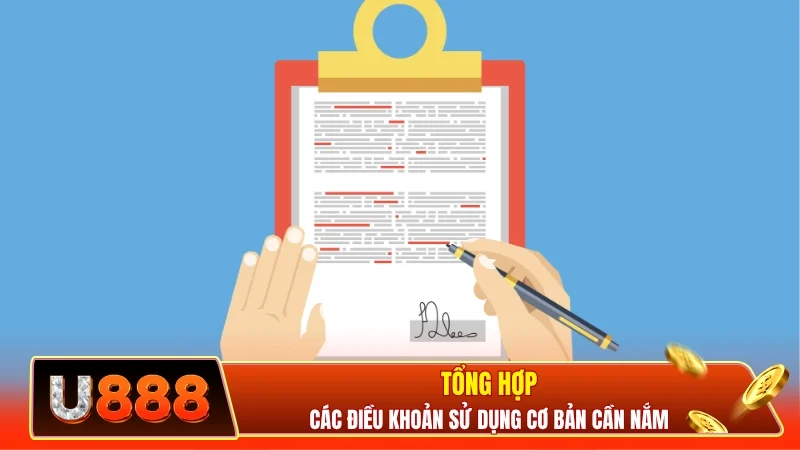 Tổng hợp các điều khoản sử dụng cơ bản cần nắm