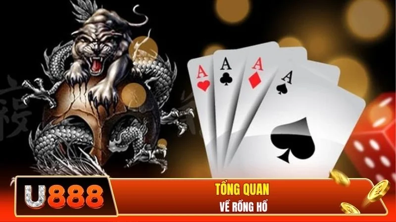 Tổng quan về rồng hổ